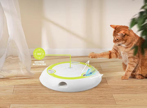 Nteractive Cat Toys with