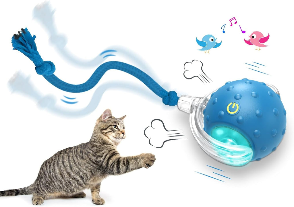Interactive Cat Toys Ball for Indoor Cats Fast Rolling on Carpet
